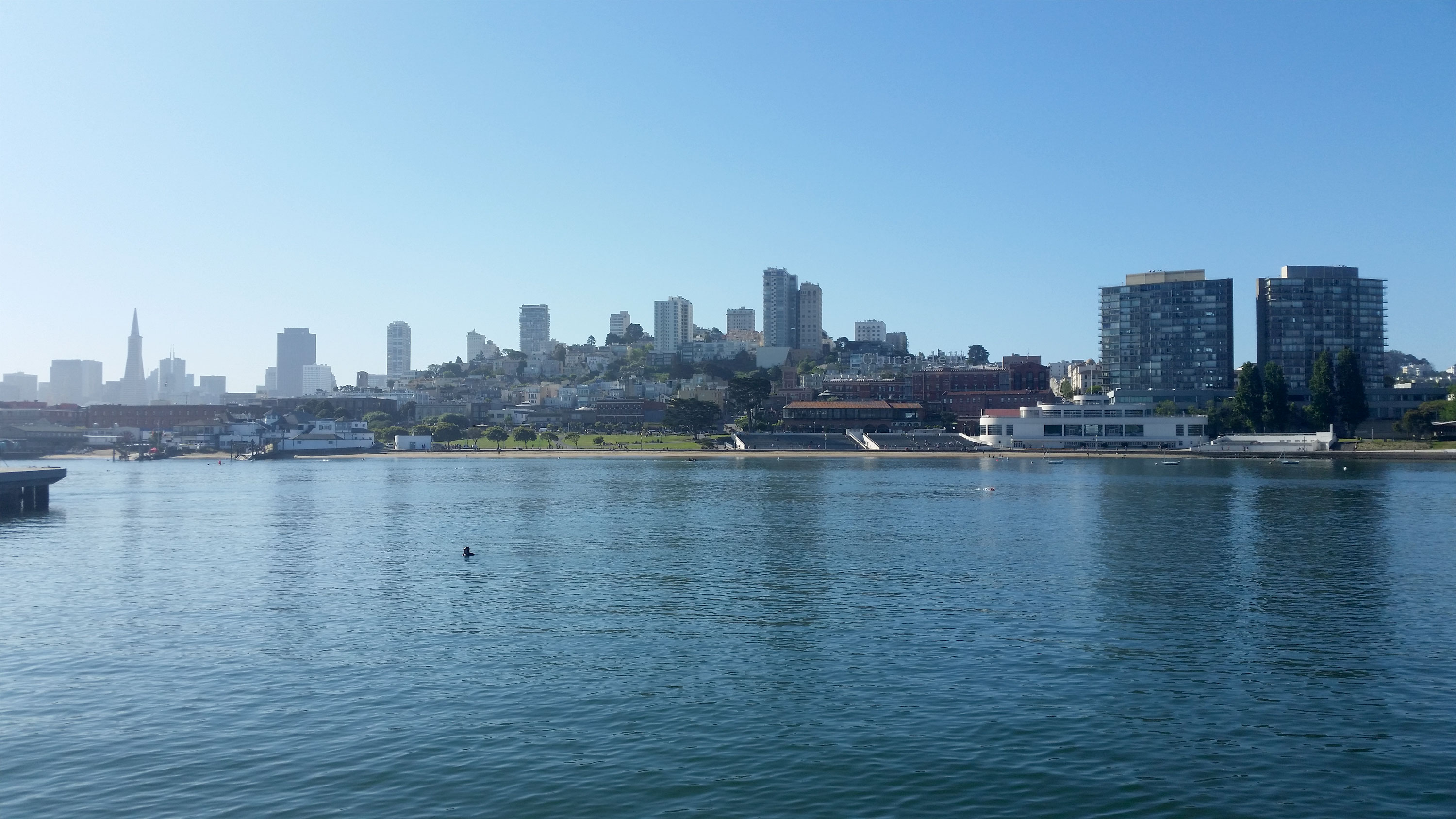 The historic fleet of the San Francisco Maritime National Historical Park is moored at the park's Hyde Street Pier.